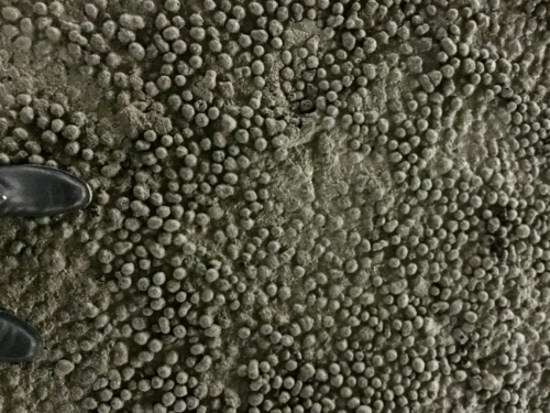 江西達(dá)人建材陶?；炷? title=